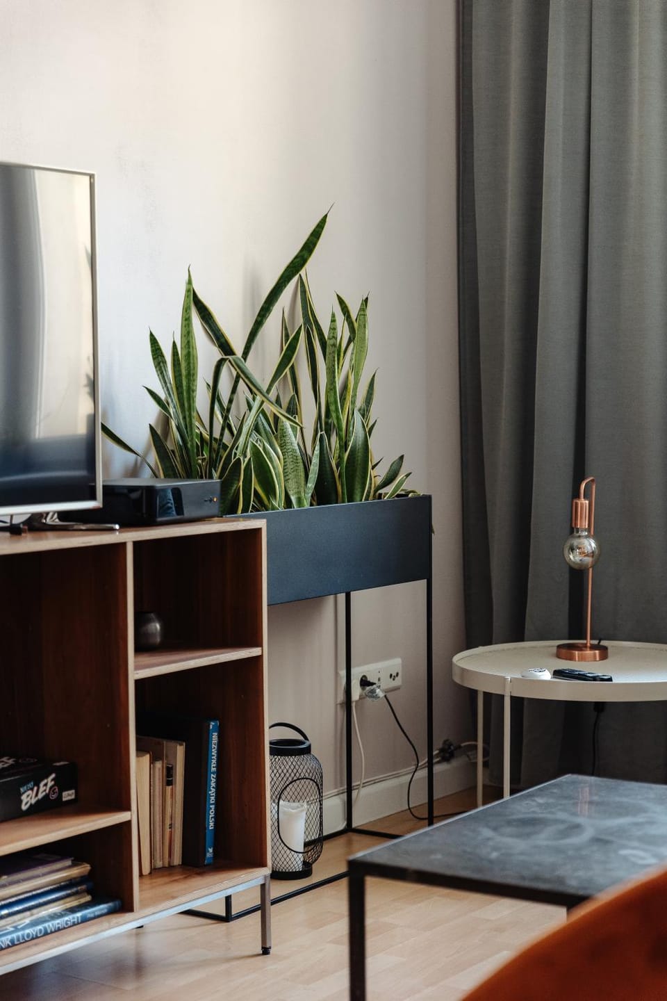 Communal lounge/ TV room, Library, TV and multimedia, Evening entertainment