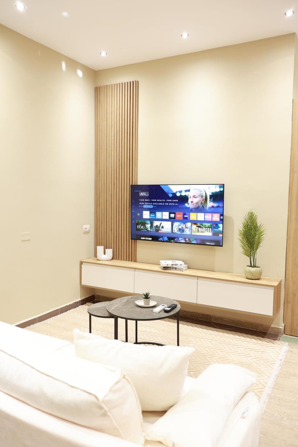 TV and multimedia