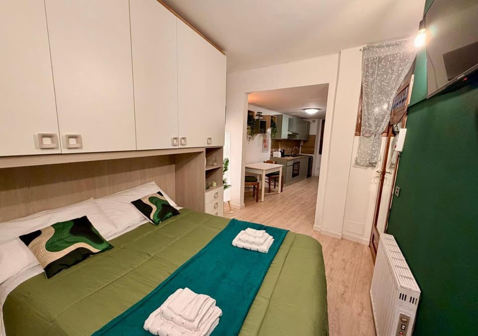 Bed, TV and multimedia, Kitchen or kitchenette, Photo of the whole room, Bedroom, towels, wardrobe
