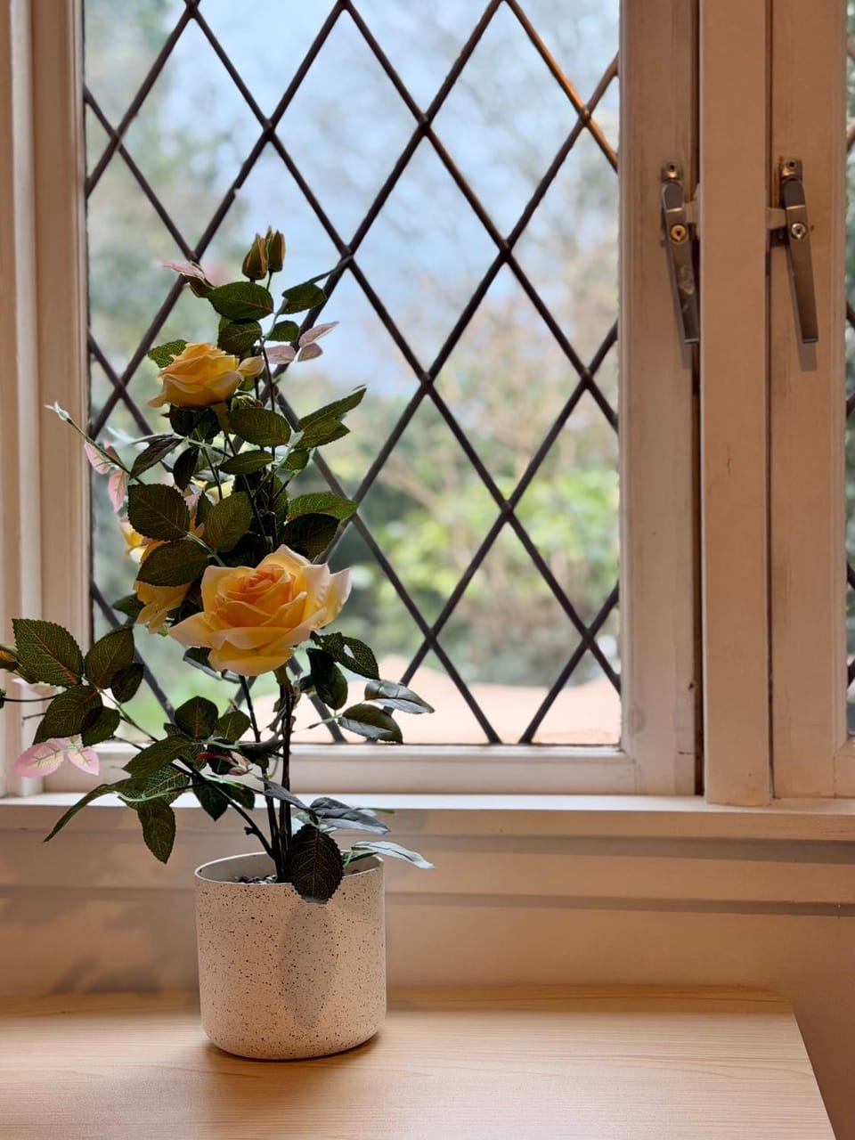 Decorative detail, Garden view