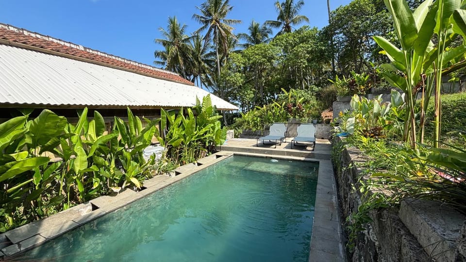 Spring, Day, Natural landscape, Garden, Garden view, Pool view, Swimming pool, sunbed