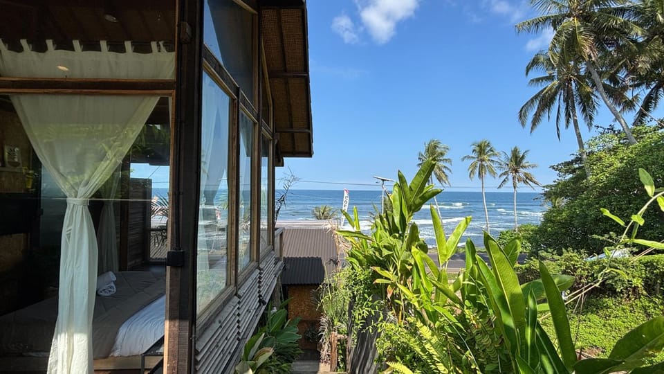 Spring, Day, Natural landscape, Garden, View (from property/room), Balcony/Terrace, Beach, Garden view, Sea view