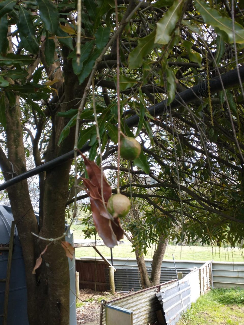 Whangarei holiday gardens Bed and Breakfast in Whangārei