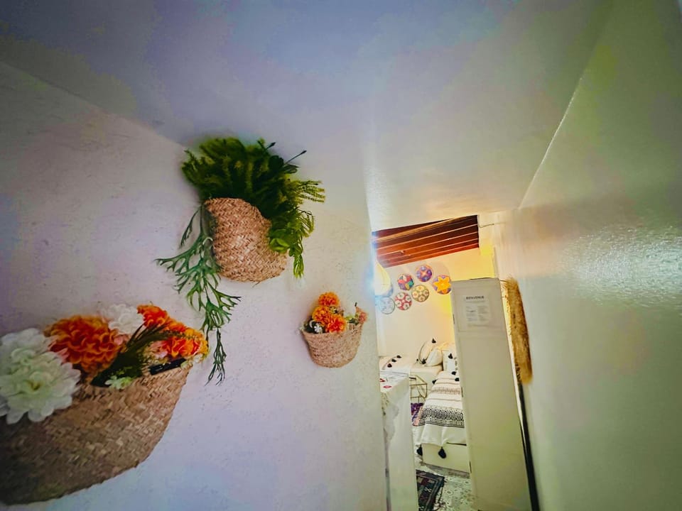 Cosy private suite room Apartment in Essaouira