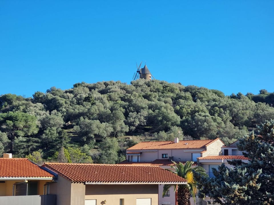Studio avec terrasse - 2 pers. - FR-1-309-558 Apartment in Collioure