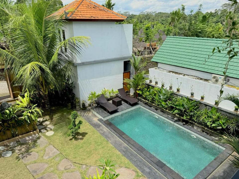 Garden, Swimming pool