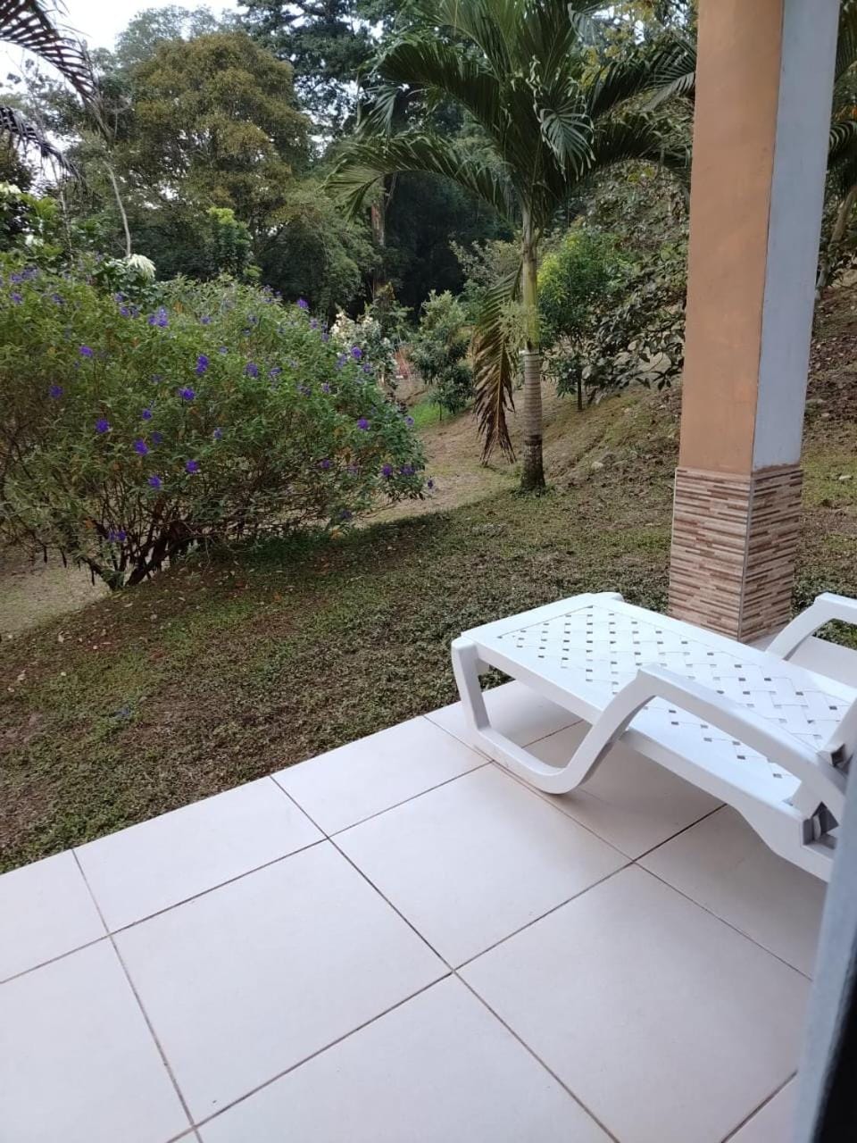 Finca Kapok tree Farm Stay in Bocas del Toro Province