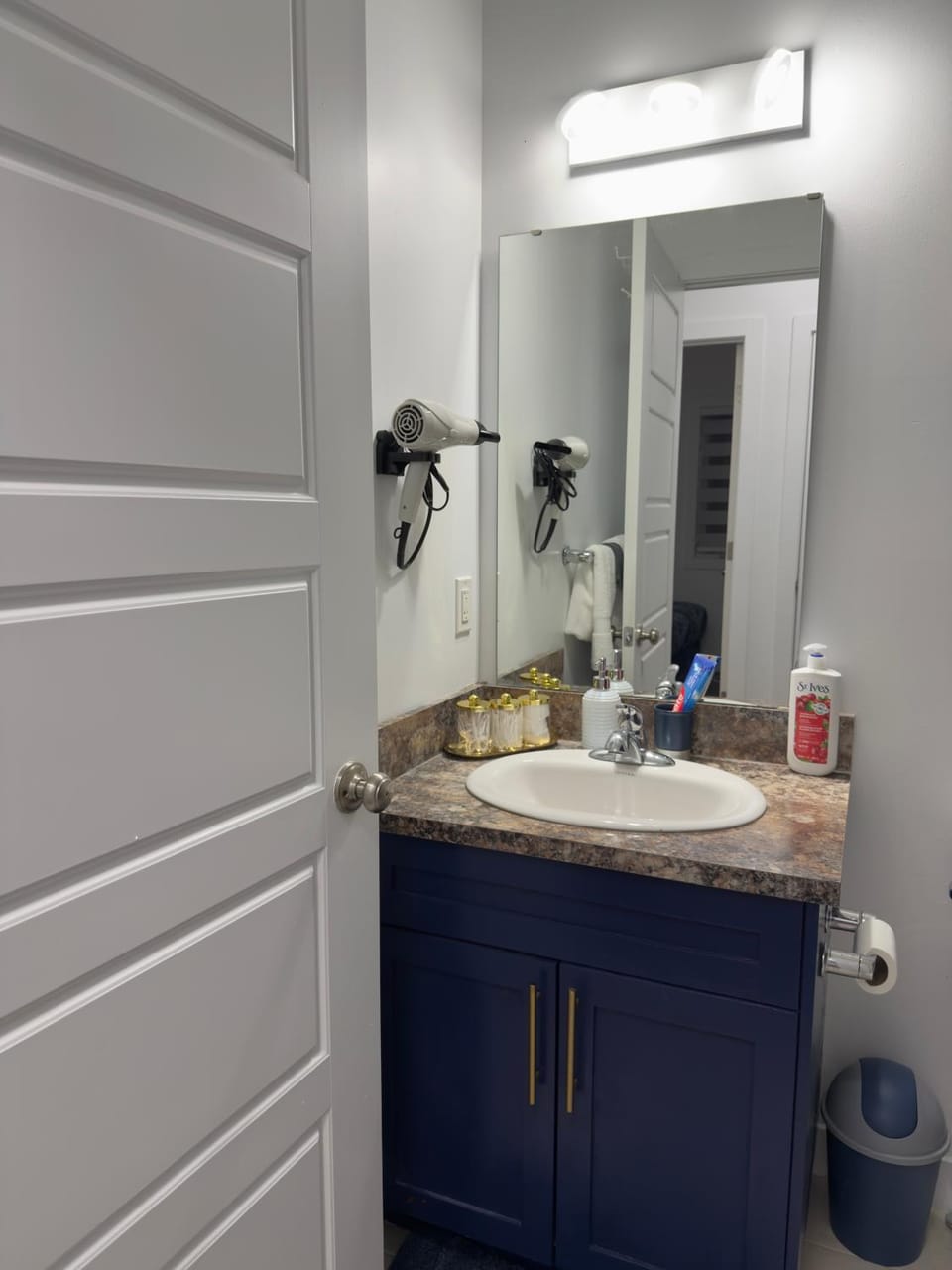 Charming 3BR Suite Near Downtown, General Hospital Apartment in Regina