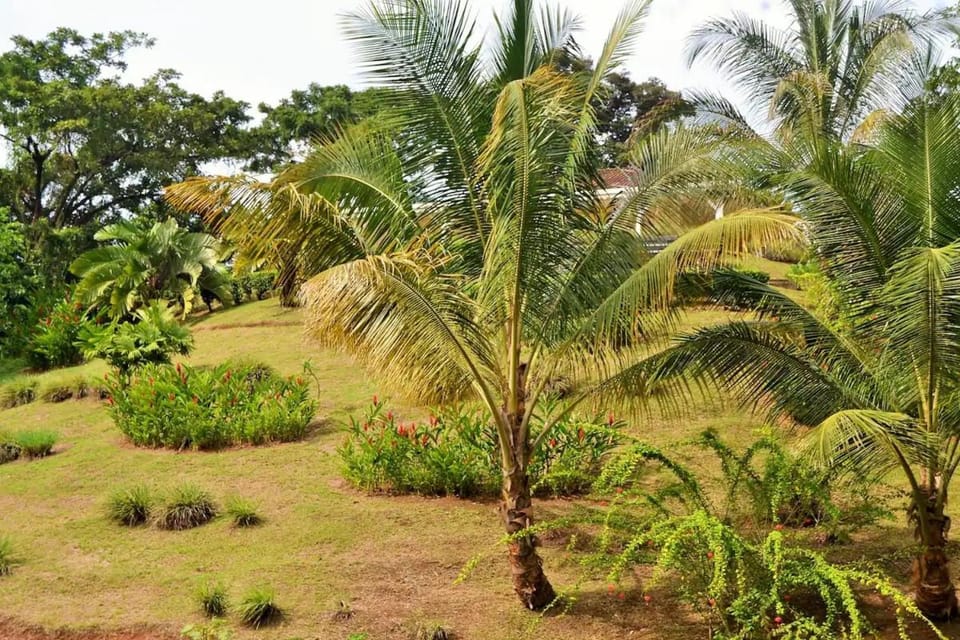 Nathylodge Nature lodge in Bocas del Toro Province