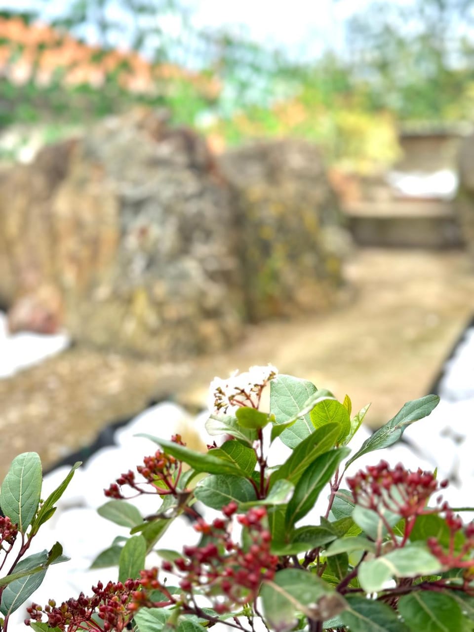 Inner courtyard view