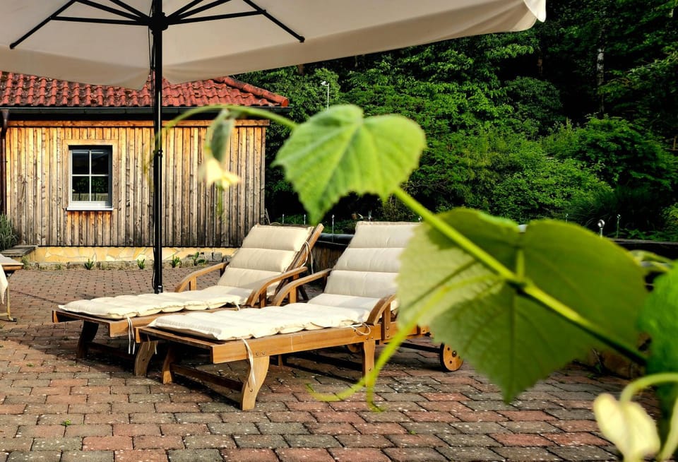 Garden, Balcony/Terrace, sunbed