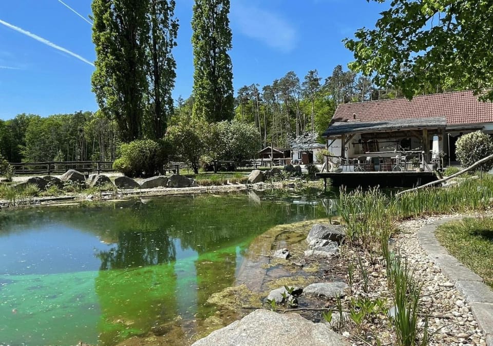 Property building, Swimming pool