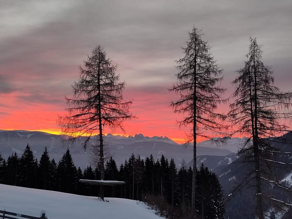 Sarner Skihütte - Rifugio Sarentino Bed and Breakfast in Trentino-South Tyrol