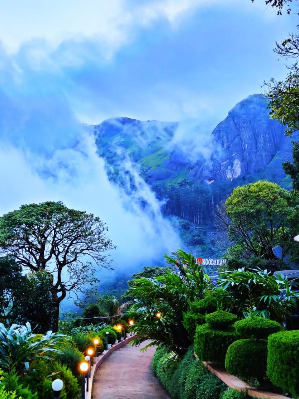 Mountain view