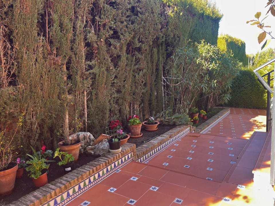 Spring, Day, Garden, Garden view