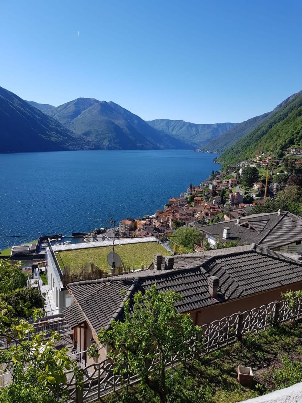 Lake view