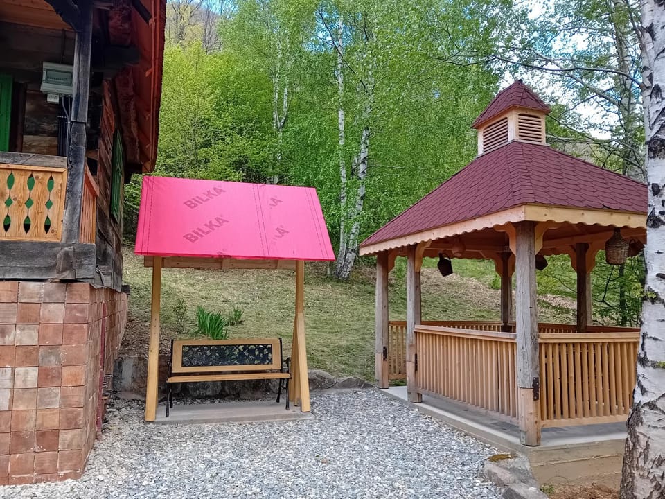 Casuta Bunicilor Retezat House in Serbia