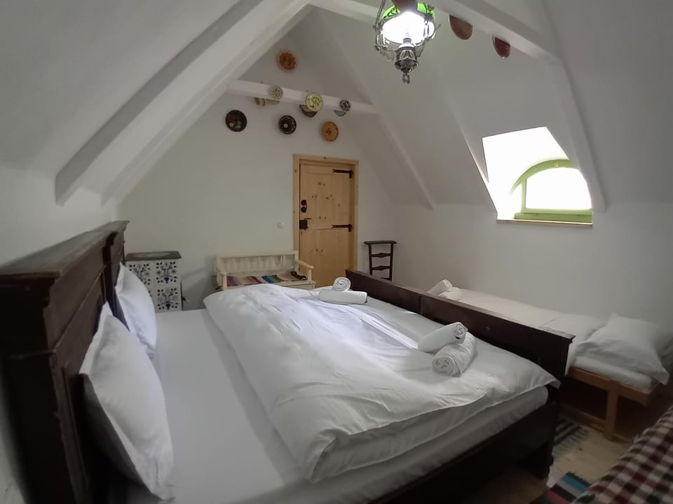 Casuta Bunicilor Retezat House in Serbia