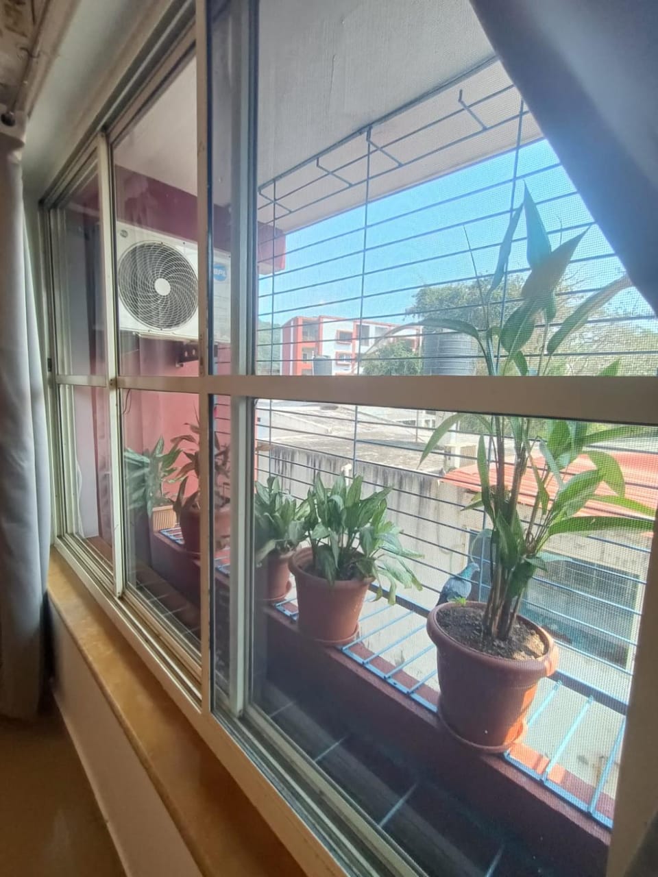 1 bhk apartment ruby residency Apartment in Canacona