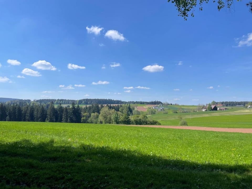 Schwarzwald Modern mit Terrasse Apartment in Baden-Württemberg