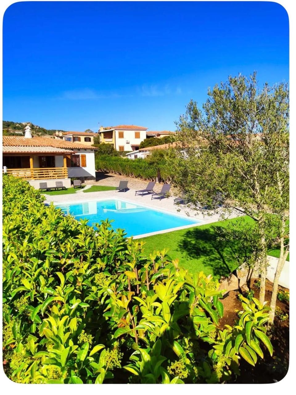 Garden, Swimming pool, Swimming pool