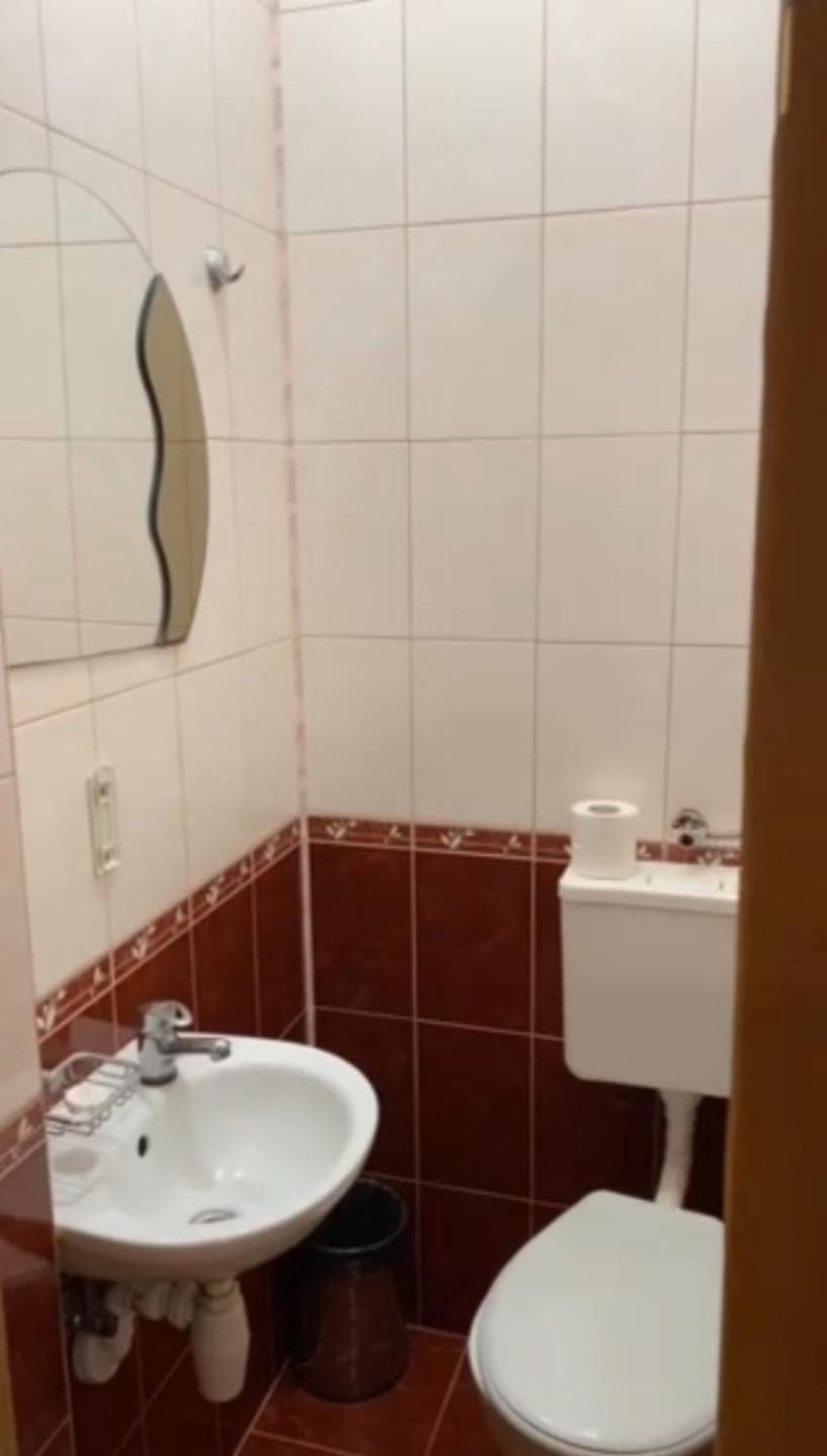 Готель Ніколет Apartment in Ukraine