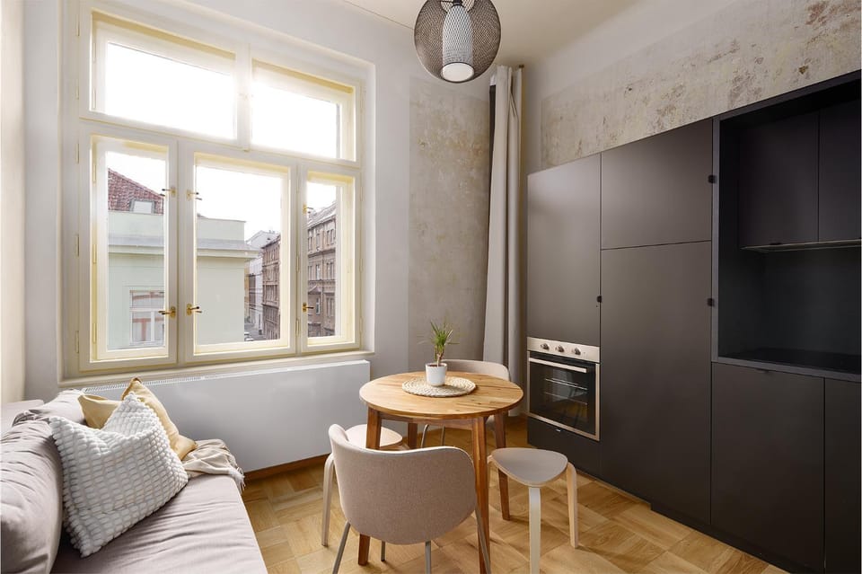 Cozy apartment in Vinohrady café & culture zone Apartment in Prague