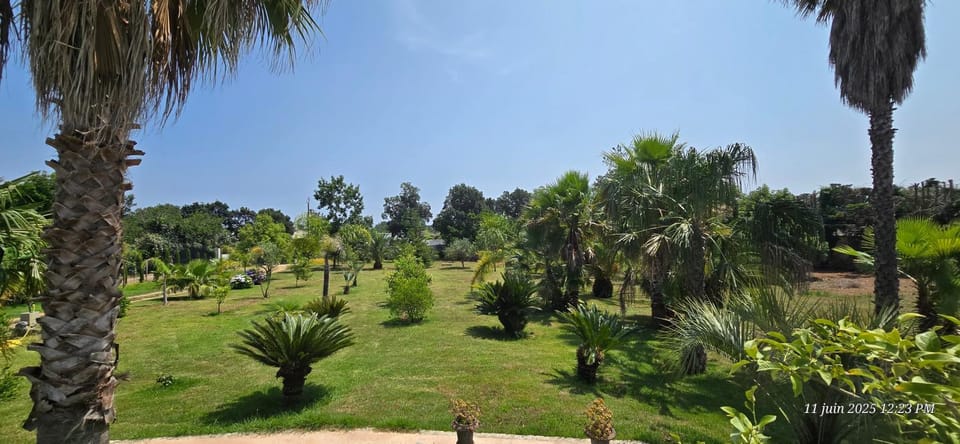 Day, Natural landscape, Garden, Garden, Garden view