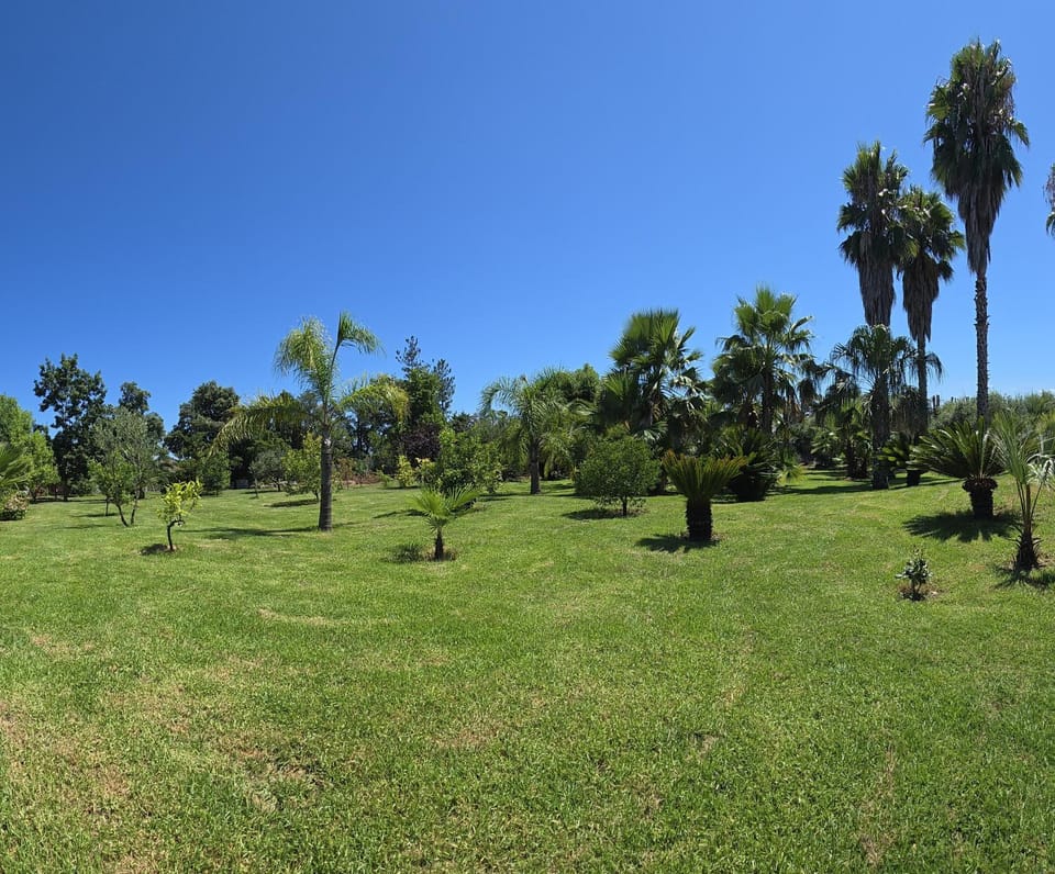 Day, Natural landscape, Garden, Garden, Garden view