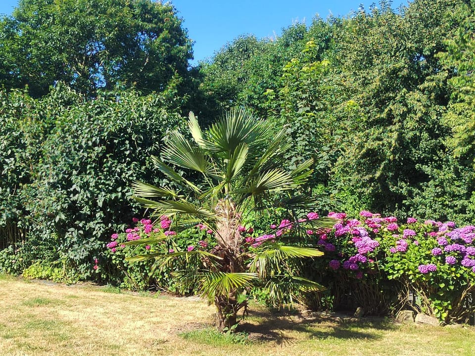 Garden, Garden view