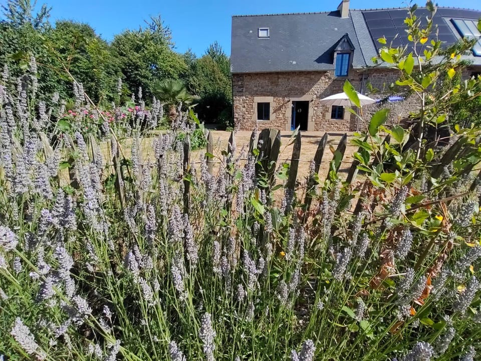 Garden, Garden view