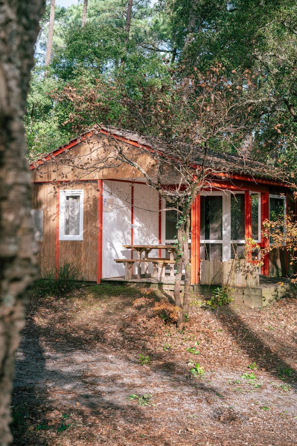 Camping LANDAE Campground/ 
RV Resort in Ondres