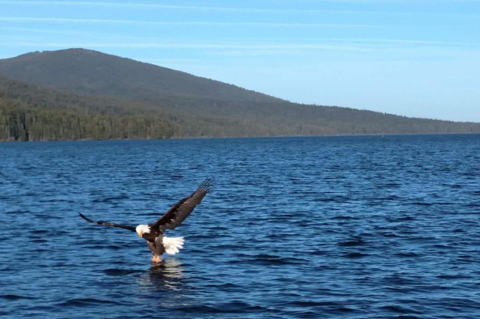 Lake view, Mountain view
