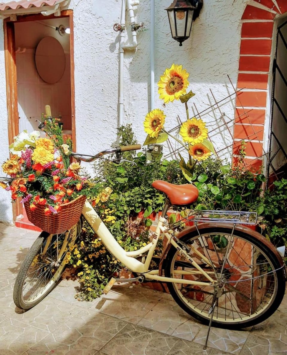 Property building, Activities, Garden, Cycling