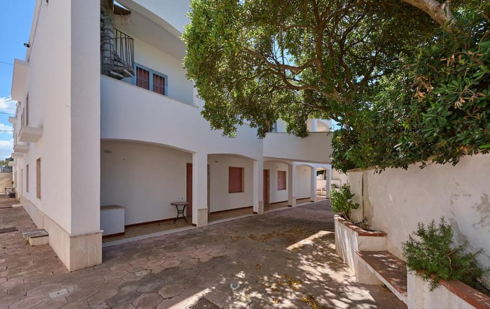 Property building, Patio, Garden