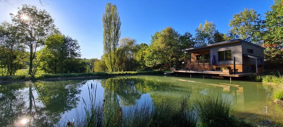 Lake view
