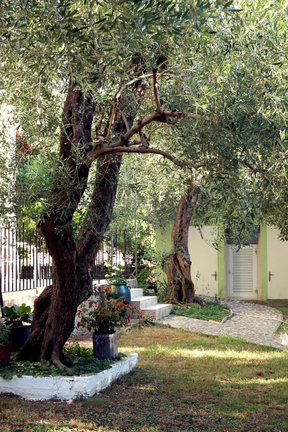 Green House new House in Corfu, Greece