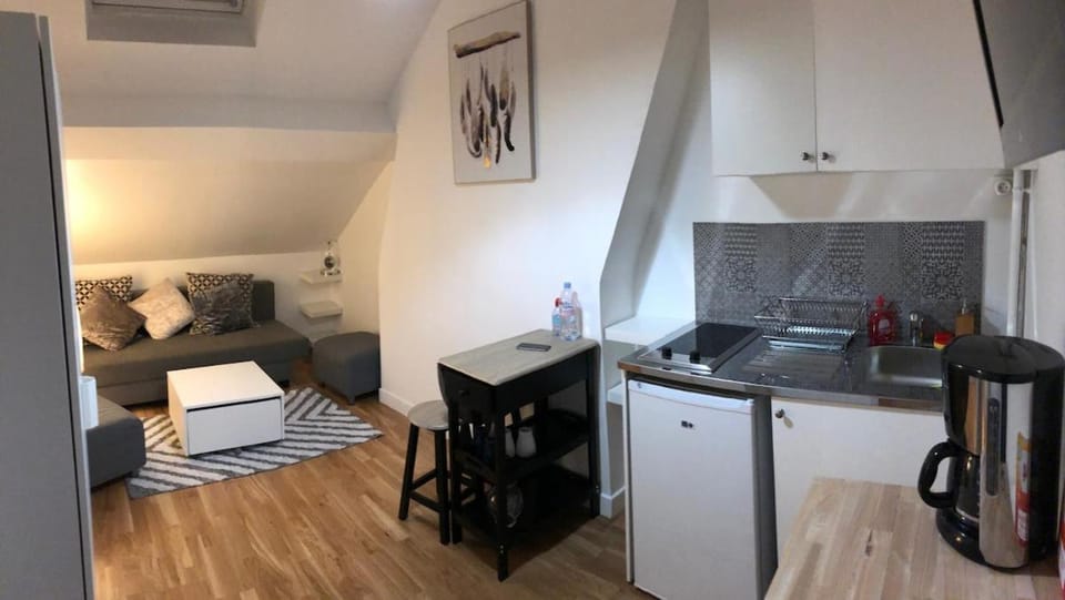 Boulogne Paris-Ouest magnifique studio accès Parc des Princes et Roland Garros Apartment in Paris