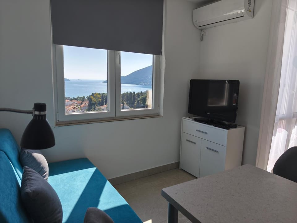 TV and multimedia, air conditioner