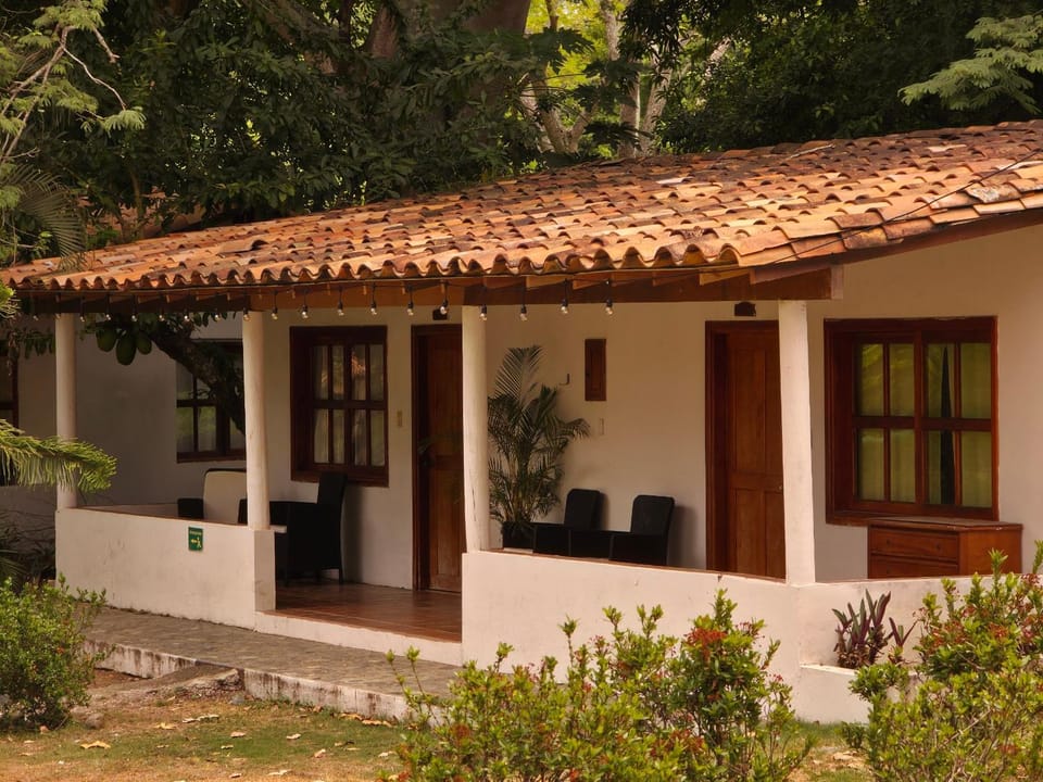 Garden, Garden view