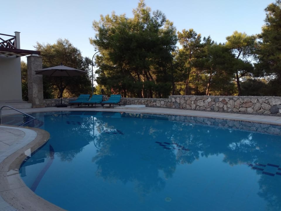 Pool view, Swimming pool