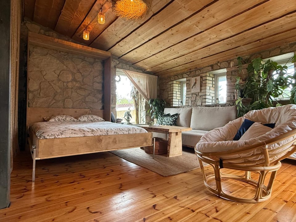 Bed, Living room, Photo of the whole room