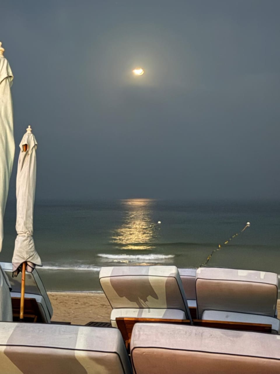 Mixed Luxury Jumeirah Hostel Apartment in Dubai