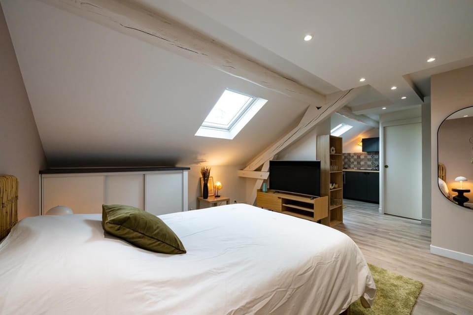 Bed, TV and multimedia, Kitchen or kitchenette, Photo of the whole room, Bedroom