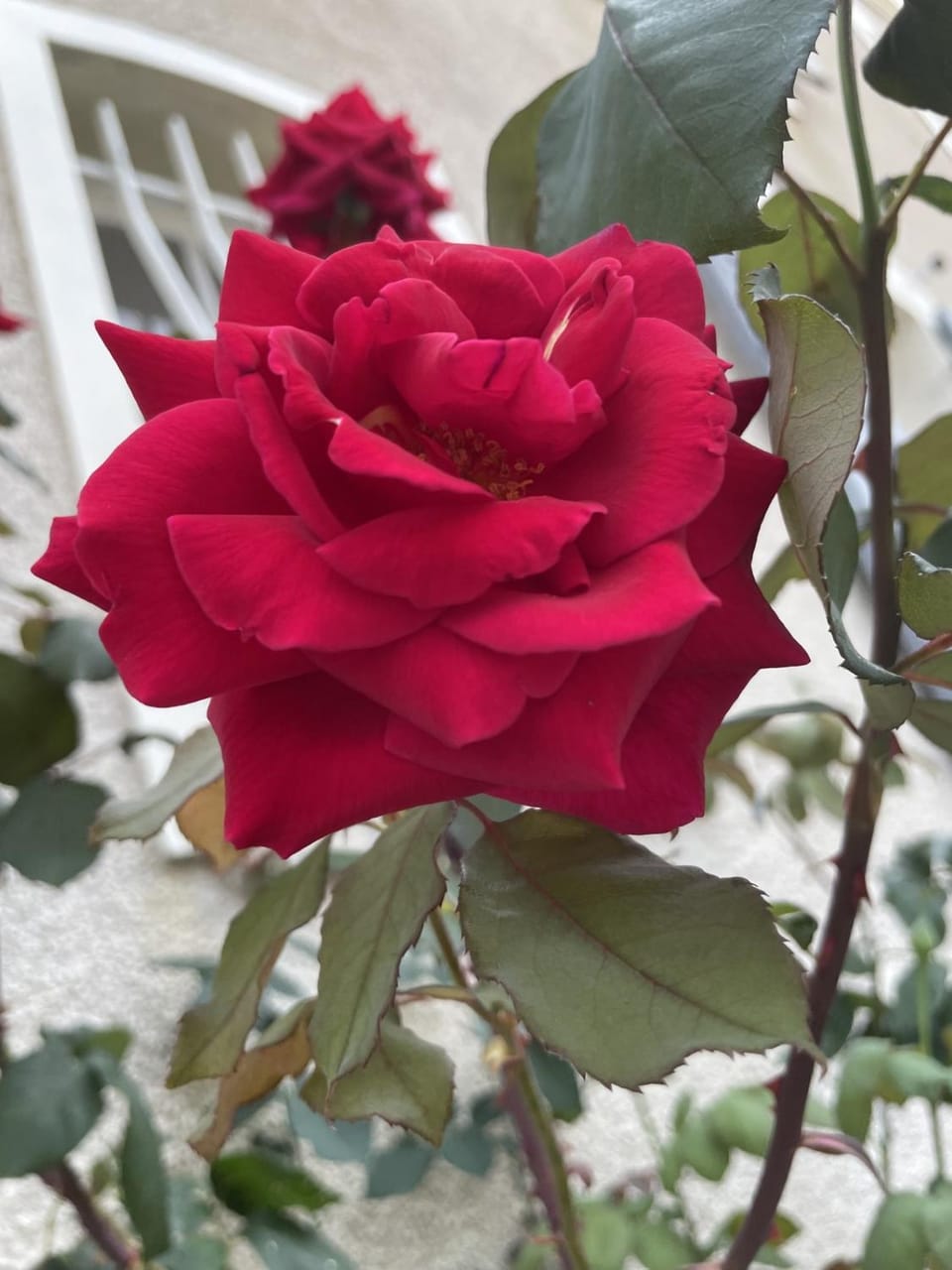 Maison la Ribière Bed and Breakfast in Nouvelle-Aquitaine