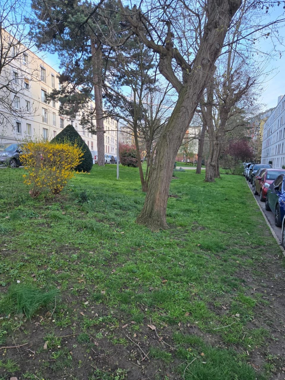 Day, Natural landscape, Garden, Garden view, Parking