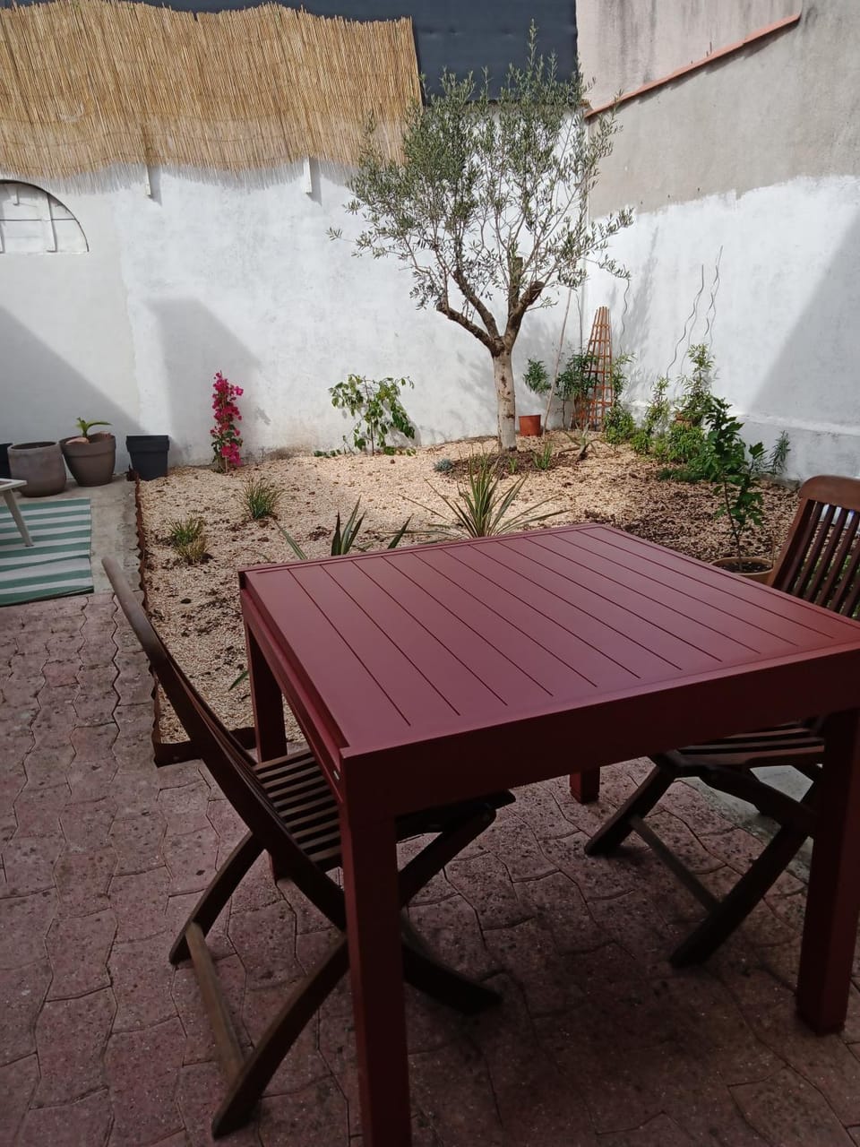 Patio, Garden, Dining area