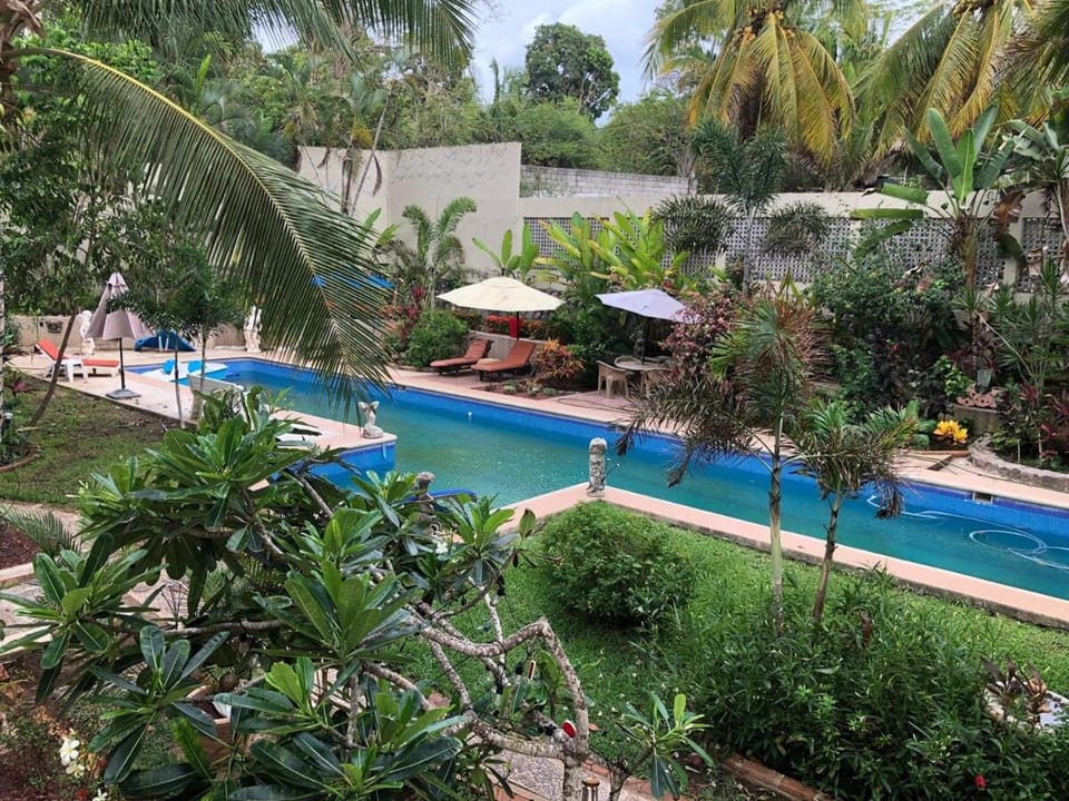 Playa Los Cocos Oceanfront Apartment Apartment in State of Nayarit