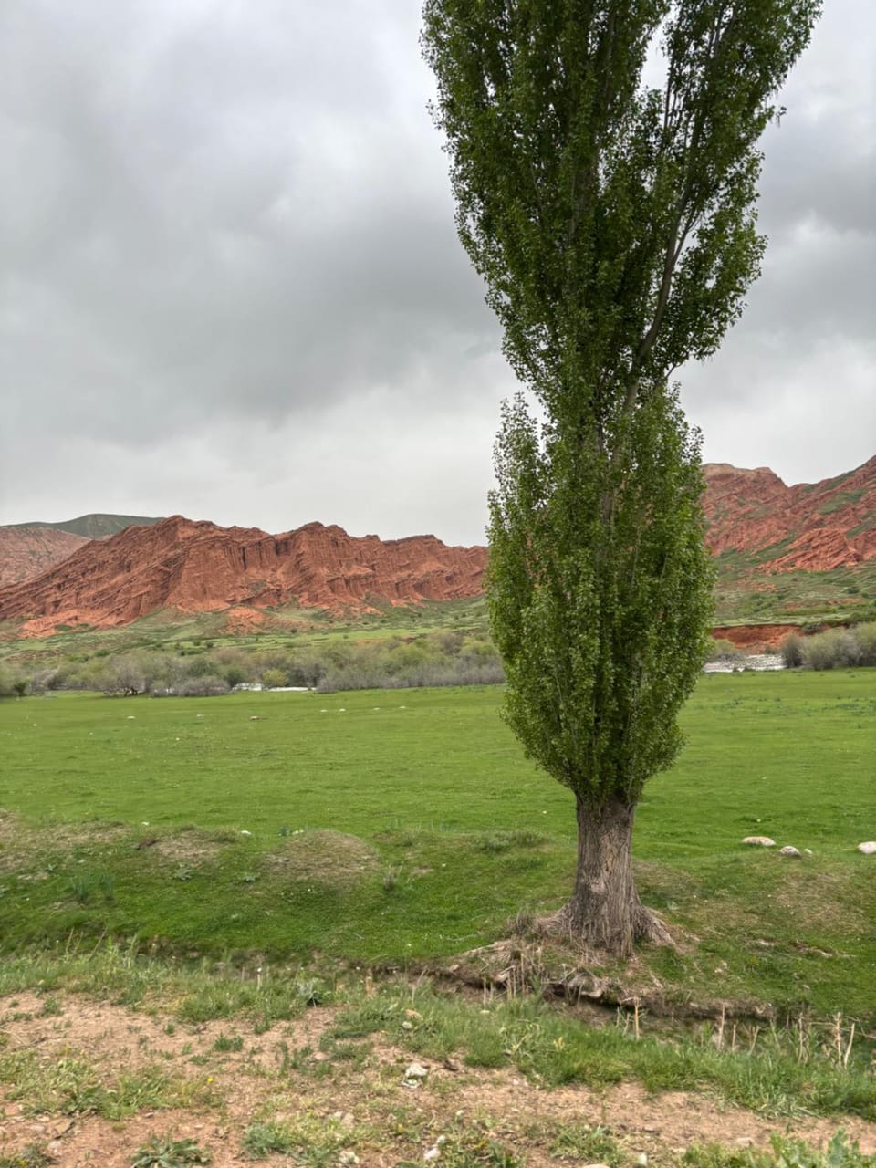 Bordu Yurt Camp Bed and Breakfast in Almaty Region, Kazakhstan