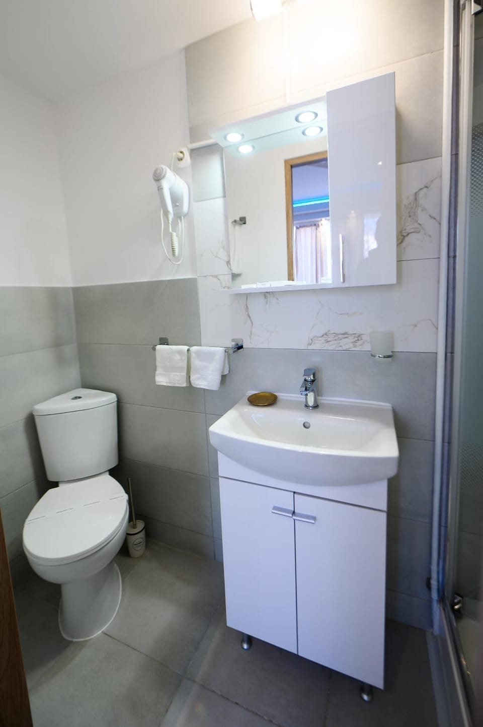 Toilet, Bathroom, hair dryier